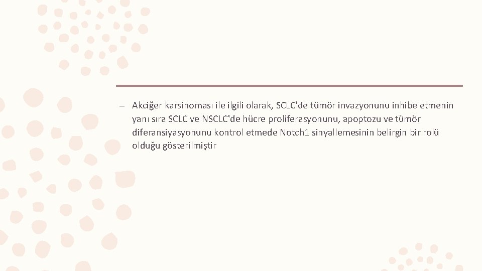 – Akciğer karsinoması ile ilgili olarak, SCLC'de tümör invazyonunu inhibe etmenin yanı sıra SCLC