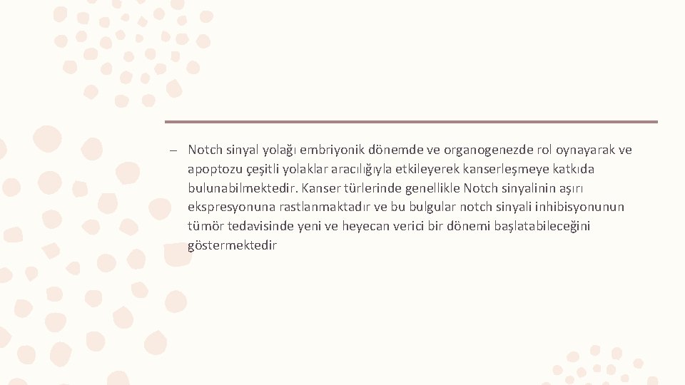 – Notch sinyal yolağı embriyonik dönemde ve organogenezde rol oynayarak ve apoptozu çeşitli yolaklar
