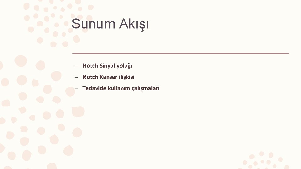 Sunum Akışı – Notch Sinyal yolağı – Notch Kanser ilişkisi – Tedavide kullanım çalışmaları