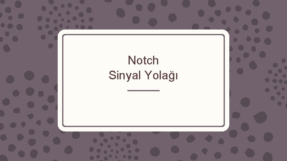 Notch Sinyal Yolağı 