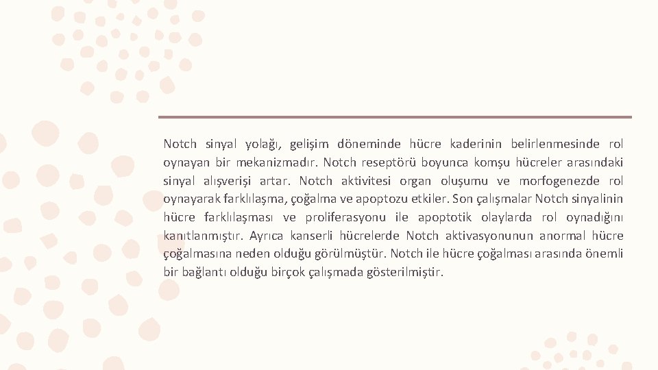 Notch sinyal yolağı, gelişim döneminde hücre kaderinin belirlenmesinde rol oynayan bir mekanizmadır. Notch reseptörü