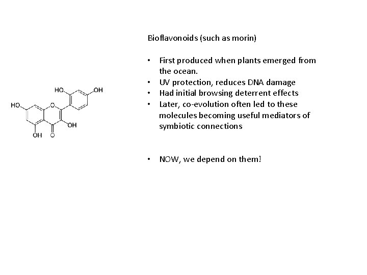 Bioflavonoids (such as morin) • First produced when plants emerged from the ocean. •