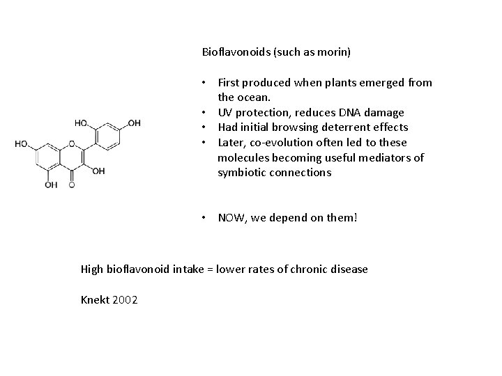 Bioflavonoids (such as morin) • First produced when plants emerged from the ocean. •