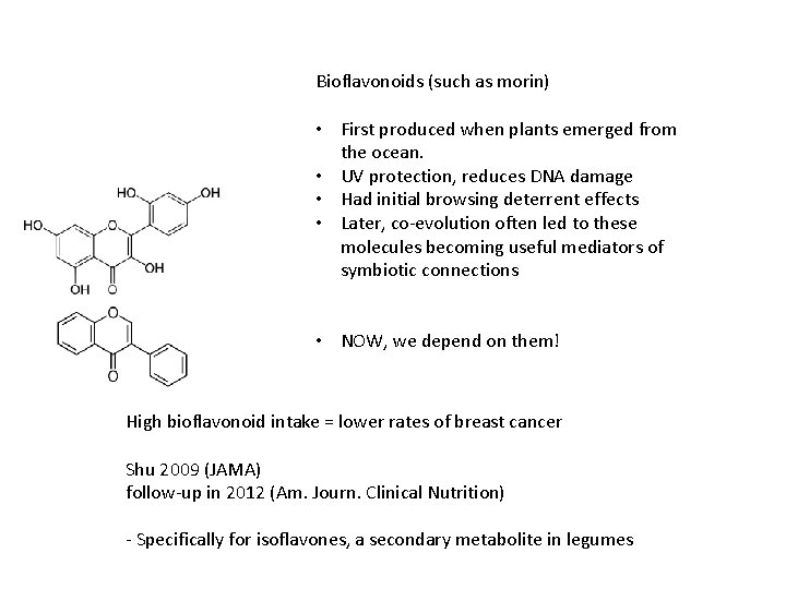 Bioflavonoids (such as morin) • First produced when plants emerged from the ocean. •