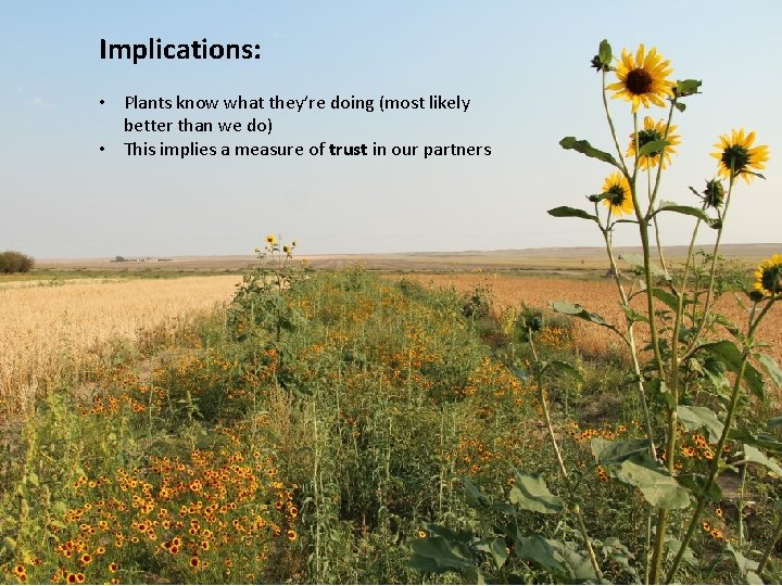 Implications: • Plants know what they’re doing (most likely better than we do) •