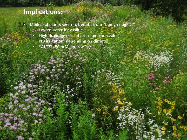 Implications: • Medicinal plants seem to benefit from “benign neglect” • Lower water if