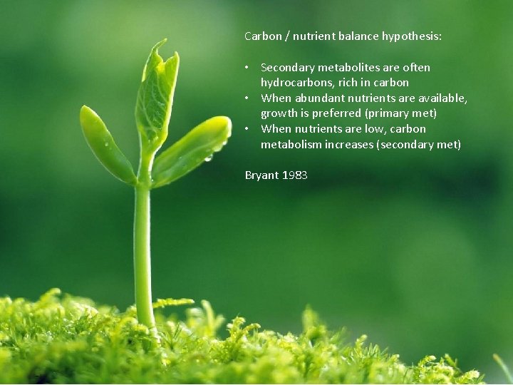 Carbon / nutrient balance hypothesis: • Secondary metabolites are often hydrocarbons, rich in carbon