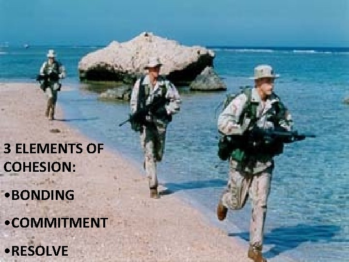 3 ELEMENTS OF COHESION: • BONDING • COMMITMENT • RESOLVE 