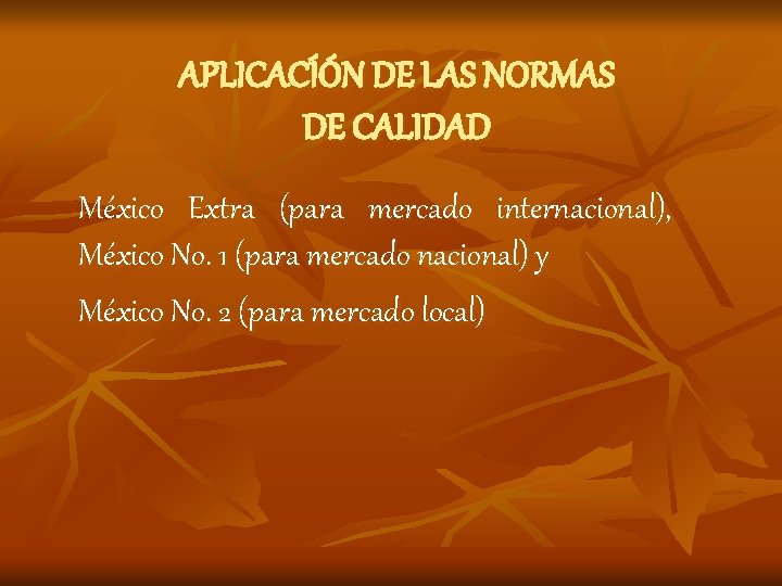 APLICACÍÓN DE LAS NORMAS DE CALIDAD México Extra (para mercado internacional), México No. 1