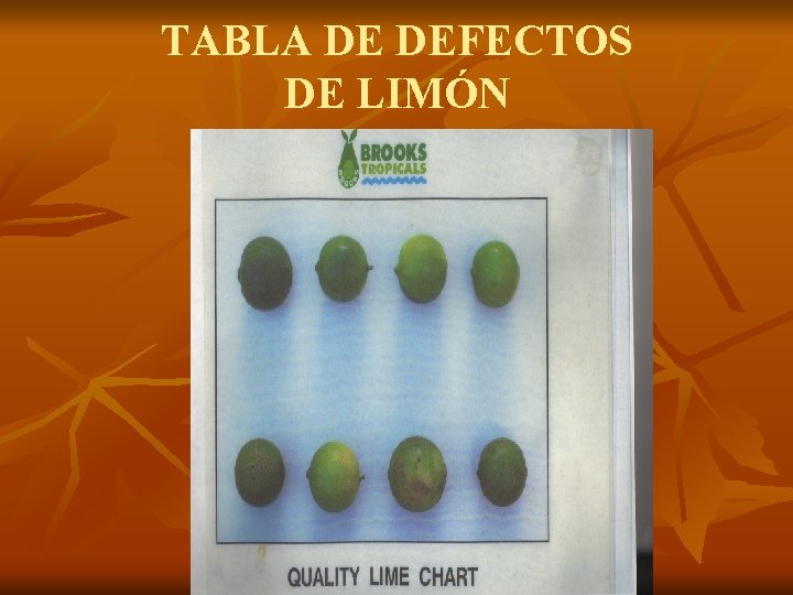 TABLA DE DEFECTOS DE LIMÓN 