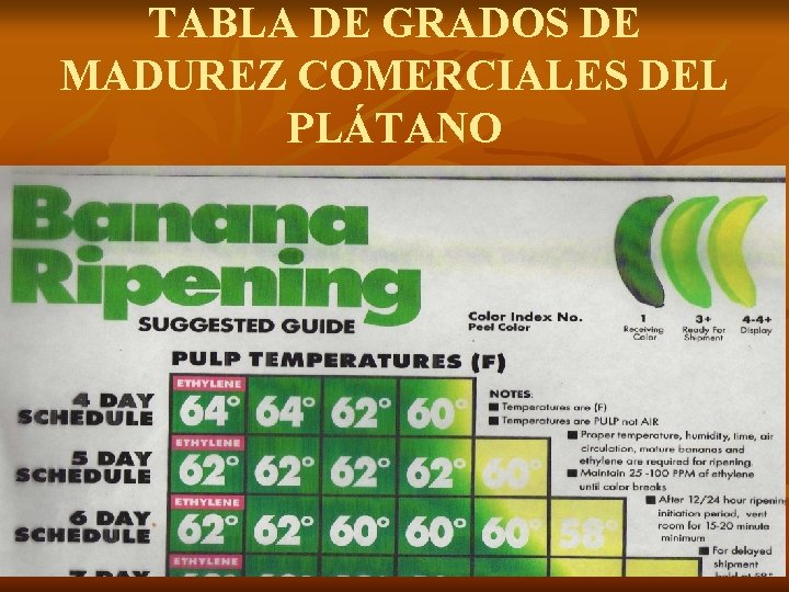 TABLA DE GRADOS DE MADUREZ COMERCIALES DEL PLÁTANO 