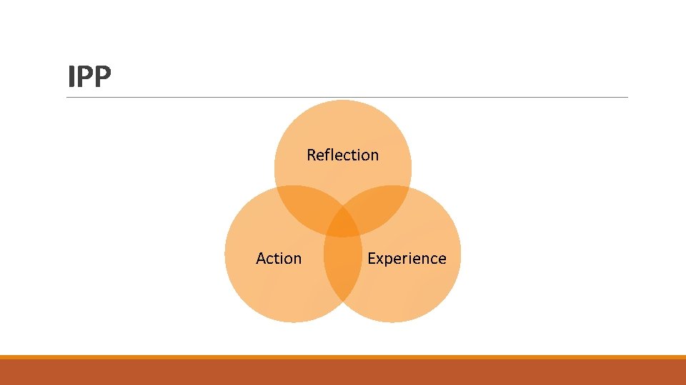 IPP Reflection Action Experience IPP Reflection Action Experience