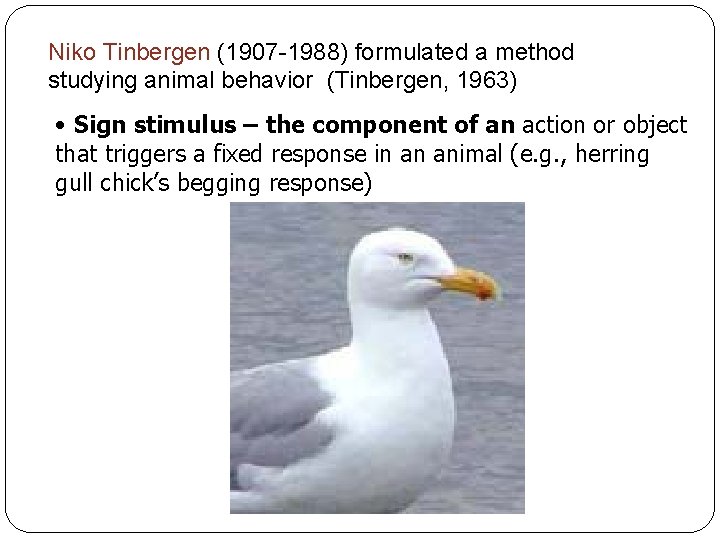Niko Tinbergen (1907 -1988) formulated a method studying animal behavior (Tinbergen, 1963) • Sign