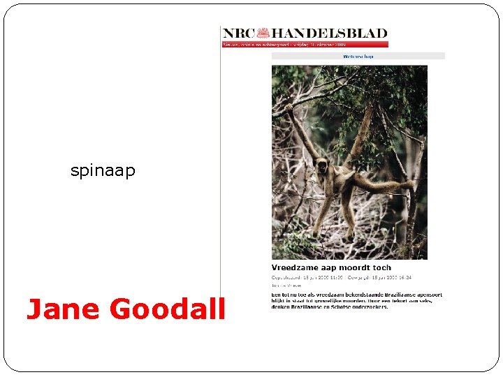 spinaap Jane Goodall 