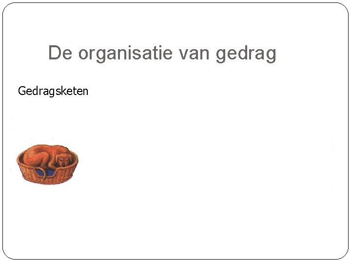 De organisatie van gedrag Gedragsketen 