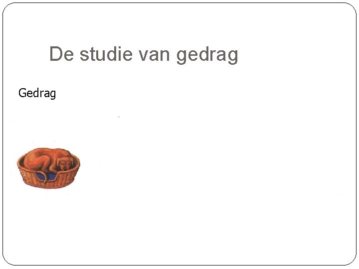 De studie van gedrag Gedrag 