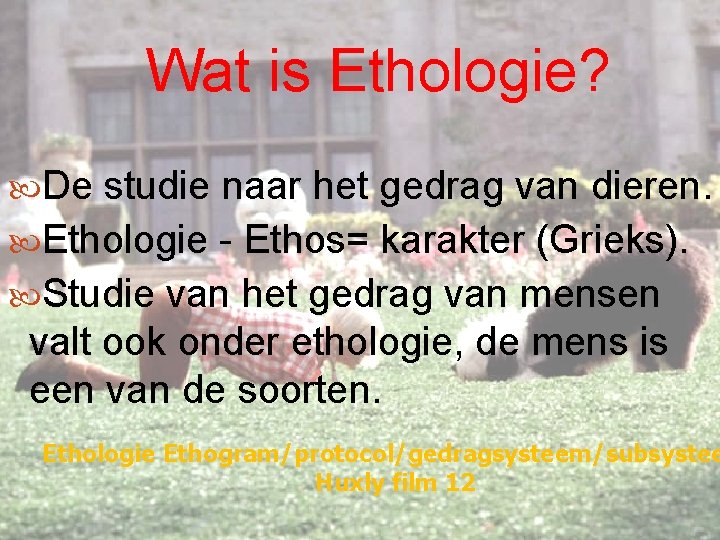 Wat is Ethologie? De studie naar het gedrag van dieren. Ethologie - Ethos= karakter