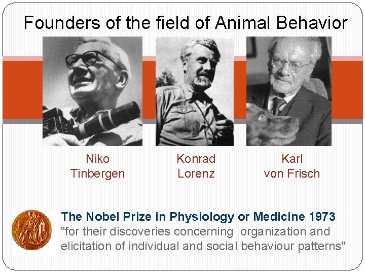 Founders of the field of Animal Behavior Niko Tinbergen Konrad Lorenz Karl von Frisch