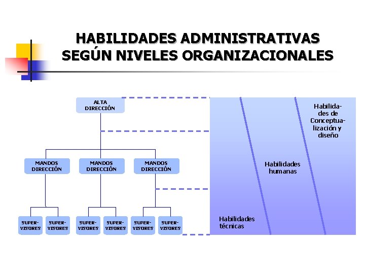 HABILIDADES ADMINISTRATIVAS SEGÚN NIVELES ORGANIZACIONALES ALTA DIRECCIÓN MANDOS DIRECCIÓN SUPERVISORES Habilidades de Conceptualización y