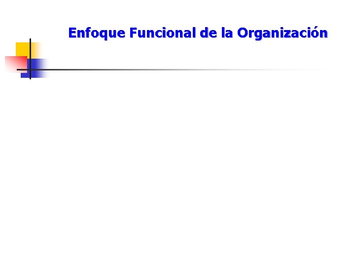 Enfoque Funcional de la Organización 