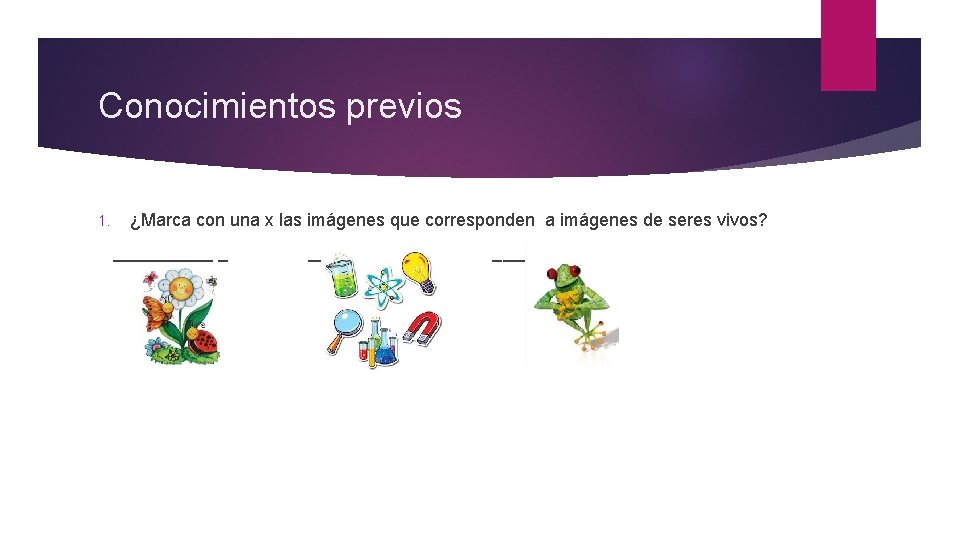 Conocimientos previos 1. ¿Marca con una x las imágenes que corresponden a imágenes de Conocimientos previos 1. ¿Marca con una x las imágenes que corresponden a imágenes de
