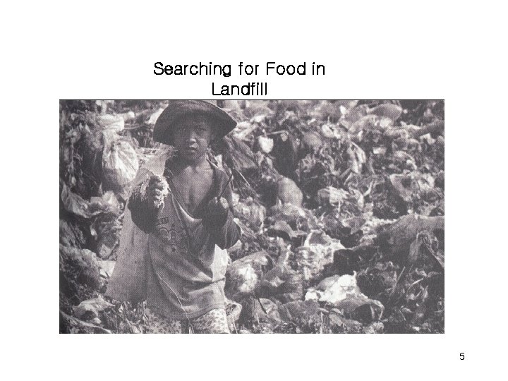 Searching for Food in Landfill 5 