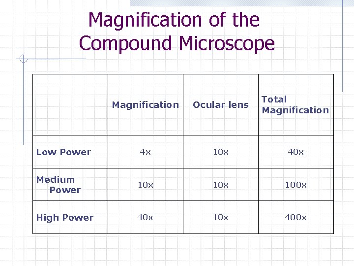 Magnification of the Compound Microscope Magnification Ocular lens Total Magnification 4 x 10 x