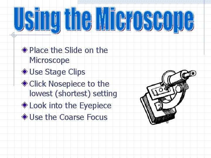 Place the Slide on the Microscope Use Stage Clips Click Nosepiece to the lowest