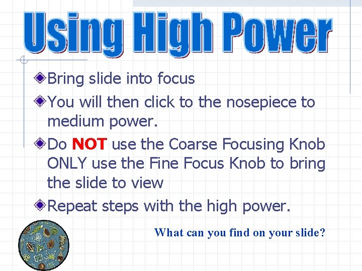 Bring slide into focus You will then click to the nosepiece to medium power.