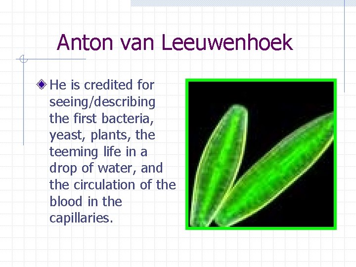 Anton van Leeuwenhoek He is credited for seeing/describing the first bacteria, yeast, plants, the