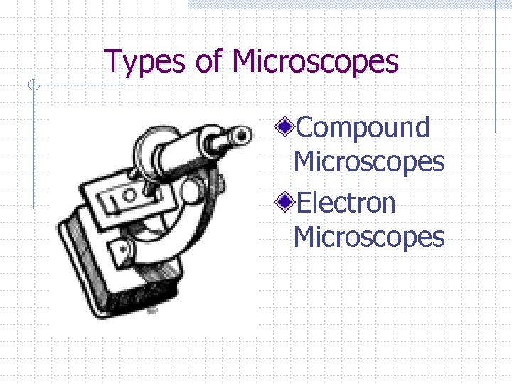 Types of Microscopes Compound Microscopes Electron Microscopes 