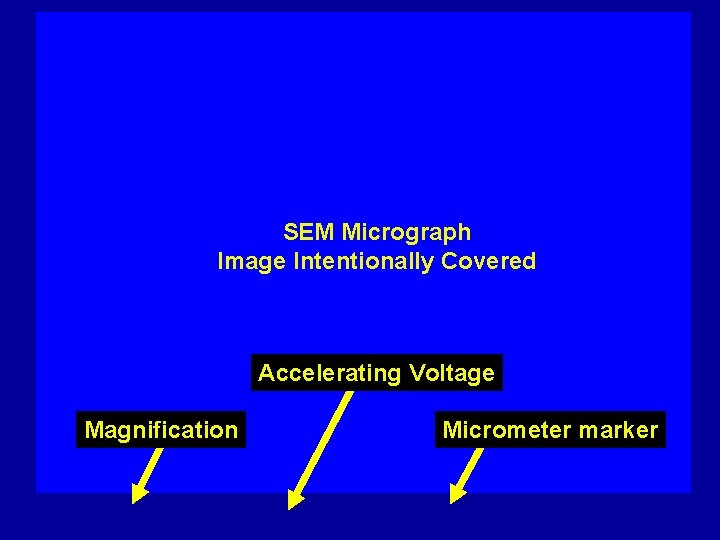 SEM Micrograph Image Intentionally Covered Accelerating Voltage Magnification Micrometer marker 