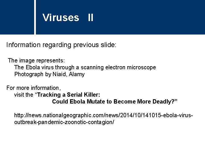 Viruses II Information regarding previous slide: The image represents: The Ebola virus through a