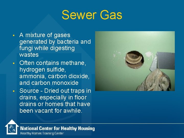 Sewer Gas § § § A mixture of gases generated by bacteria and fungi