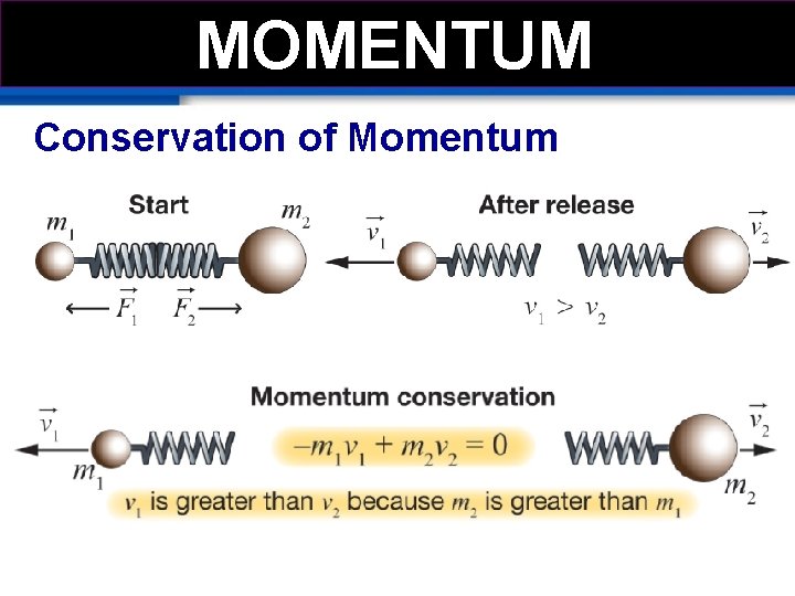 MOMEMTUM MOMENTUM Conservation of Momentum 