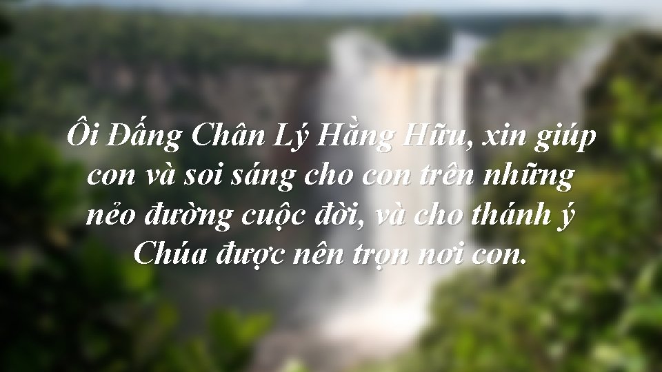 Ôi Đấng Chân Lý Hằng Hữu, xin giúp con và soi sáng cho con