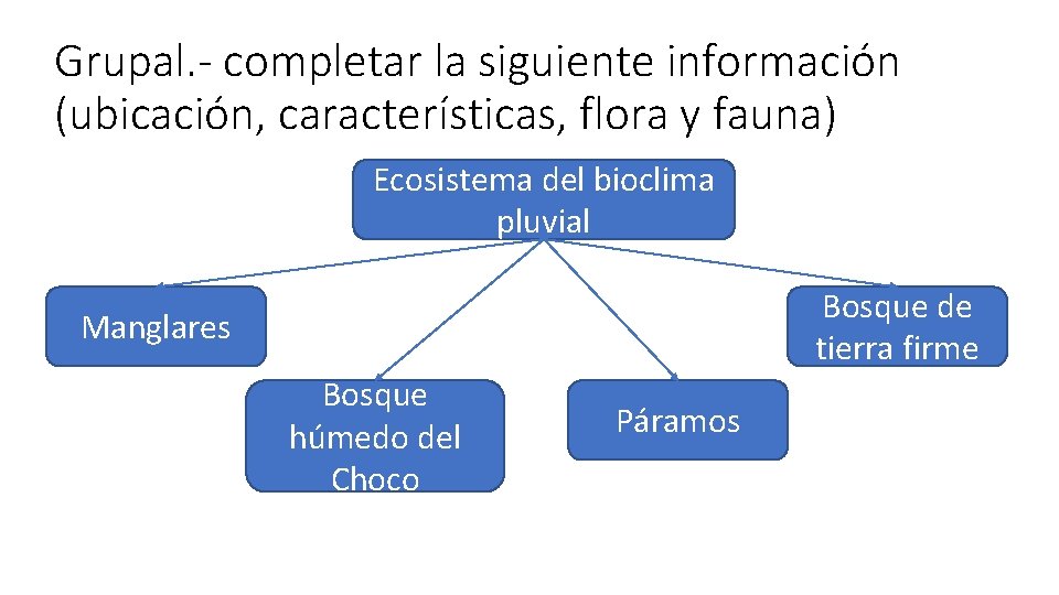 Grupal. - completar la siguiente información (ubicación, características, flora y fauna) Ecosistema del bioclima