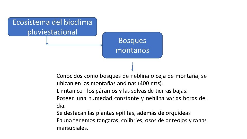 Ecosistema del bioclima pluviestacional Bosques montanos Conocidos como bosques de neblina o ceja de