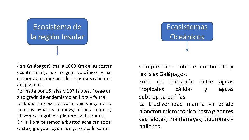 Ecosistema de la región Insular (Isla Galápagos), casi a 1000 Km de las costas