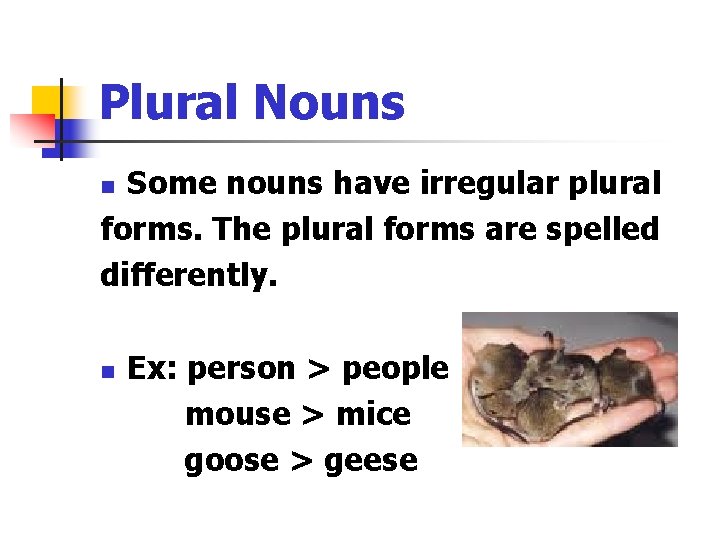 Plural Nouns Some nouns have irregular plural forms. The plural forms are spelled differently.