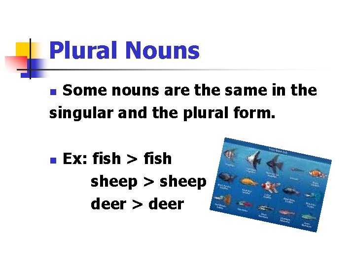 Plural Nouns Some nouns are the same in the singular and the plural form.