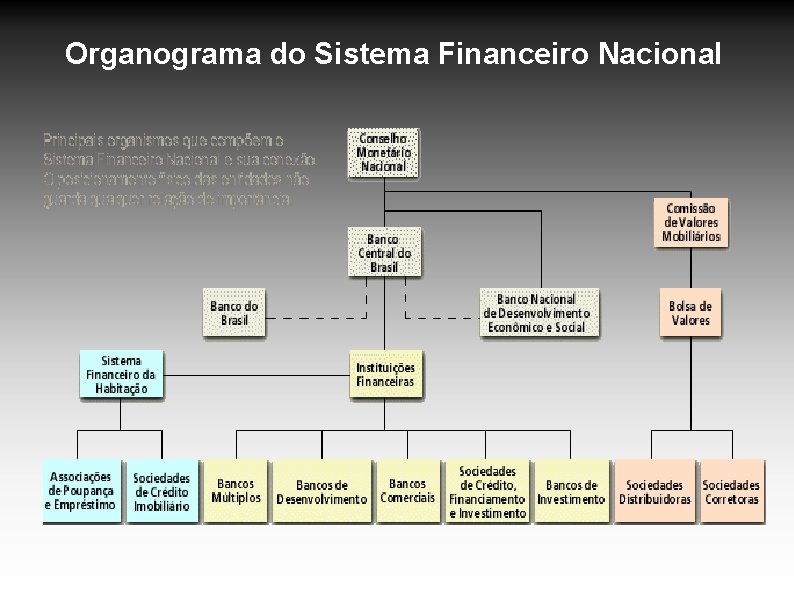 Sistema Financeiro Nacional o conjunto de Instituies que