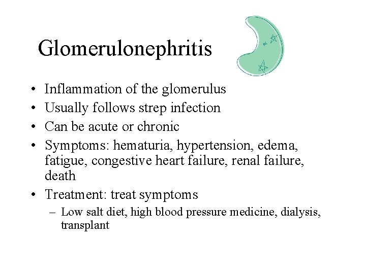 Glomerulonephritis • • Inflammation of the glomerulus Usually follows strep infection Can be acute