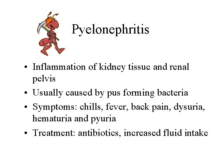 Pyelonephritis • Inflammation of kidney tissue and renal pelvis • Usually caused by pus