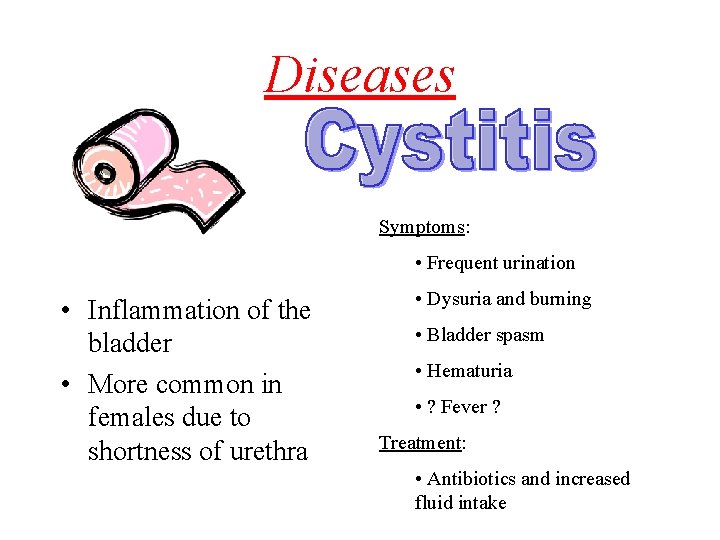 Diseases Symptoms: • Frequent urination • Inflammation of the bladder • More common in