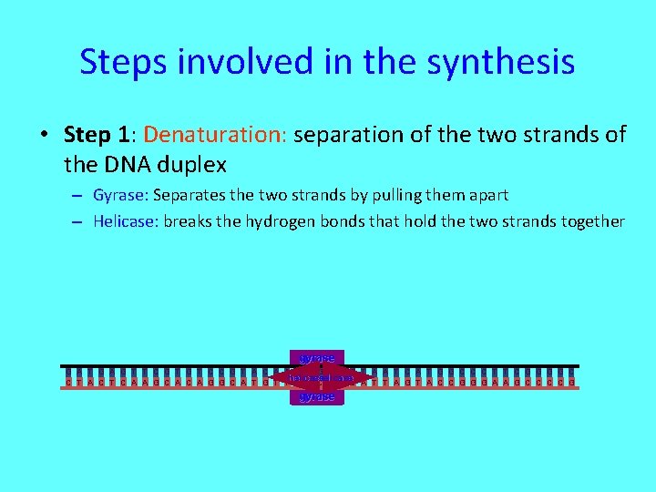 MOLECULAR IDENTIFICATION OF MICROORGANISMS PRINCIPLE PROCESSESS OF 16