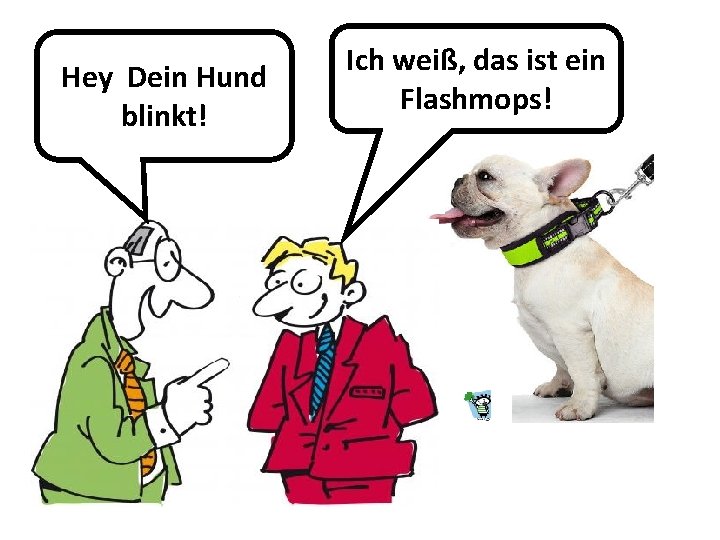 Hey Dein Hund blinkt! Ich weiß, das ist ein Flashmops! 