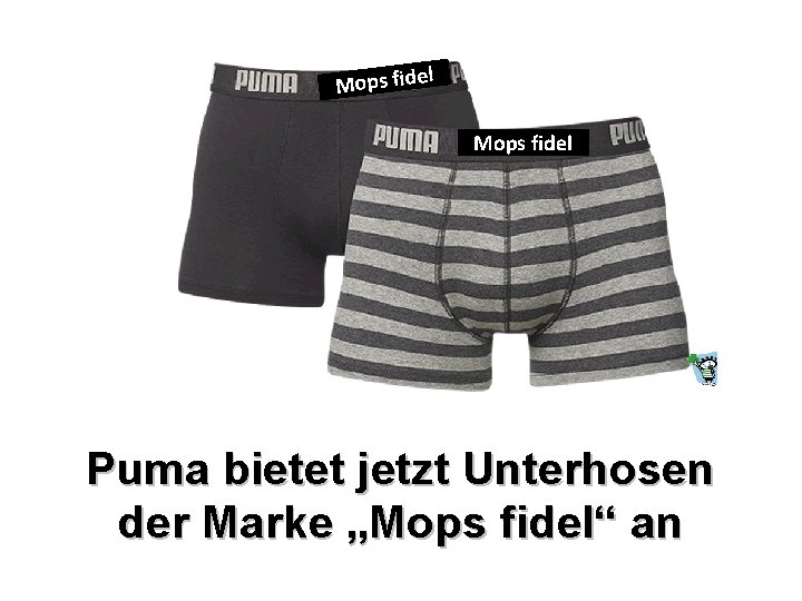 l Mops fidel Puma bietet jetzt Unterhosen der Marke „Mops fidel“ an 