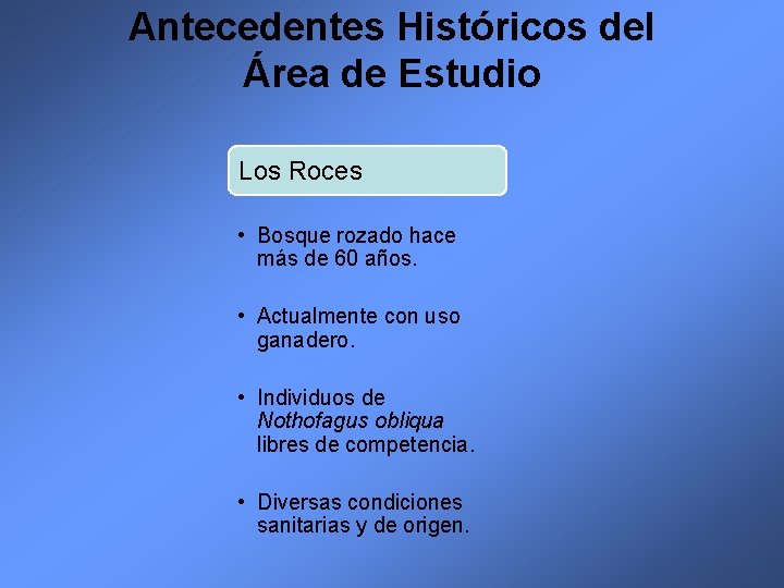 Antecedentes Históricos del Área de Estudio Los Roces • Bosque rozado hace más de