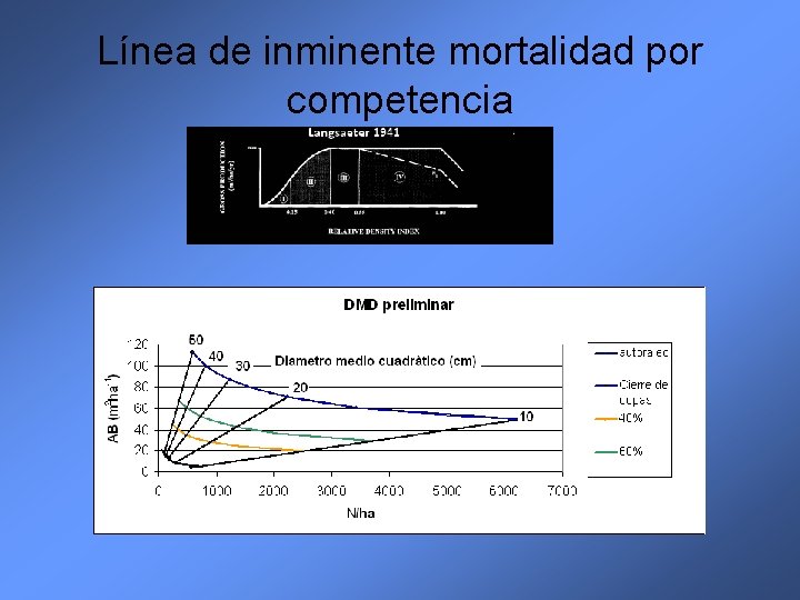 Línea de inminente mortalidad por competencia 